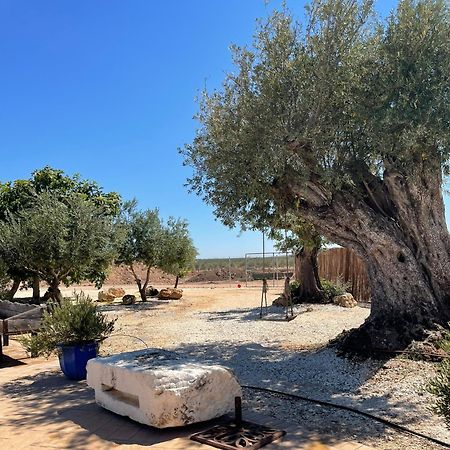 La Casa Del Olivo Villa Ecija Bagian luar foto