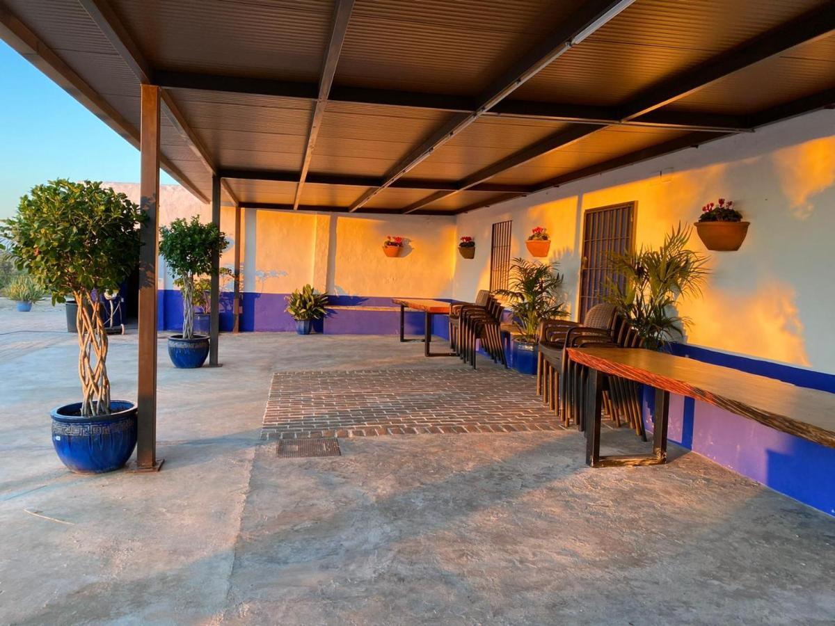 La Casa Del Olivo Villa Ecija Bagian luar foto