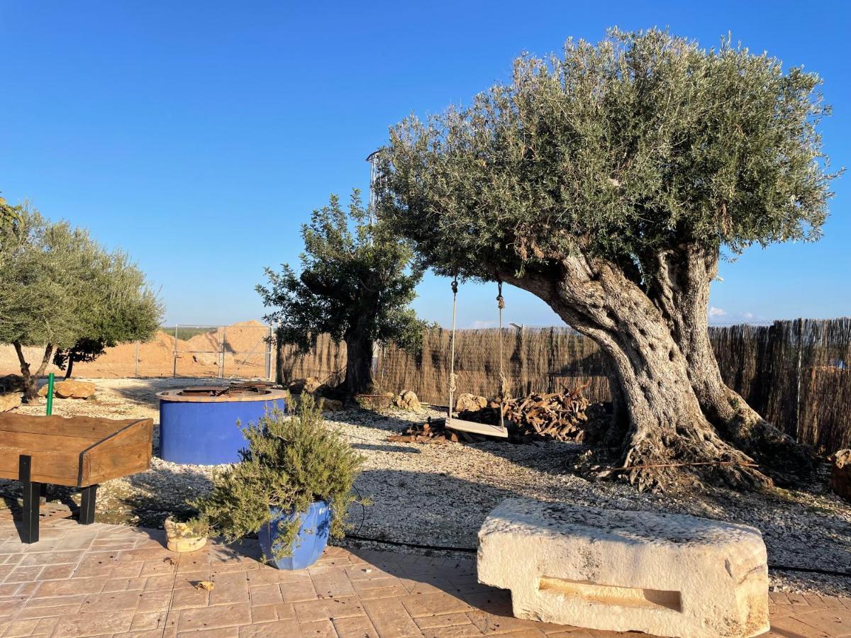 La Casa Del Olivo Villa Ecija Bagian luar foto