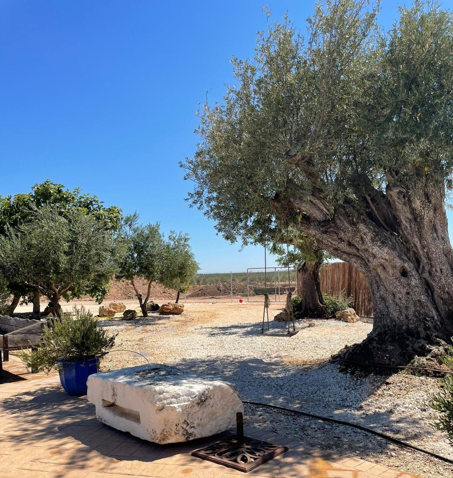 La Casa Del Olivo Villa Ecija Bagian luar foto